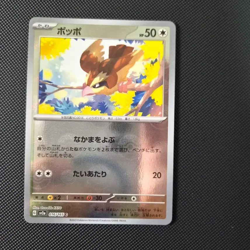 [BUNJANG] Gugu Monster Ball Japanese Edition / 구구 몬스터볼 일판