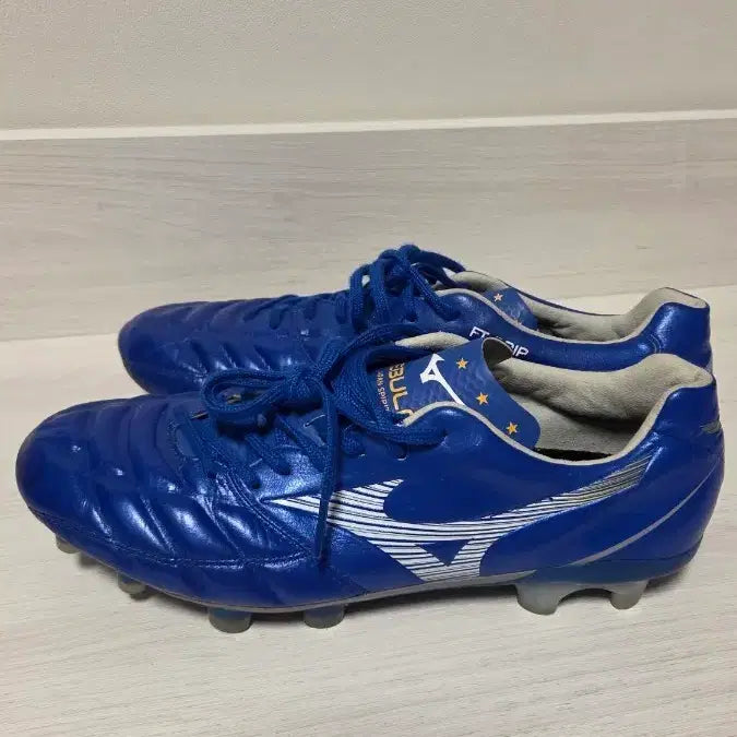 [BUNJANG] Mizuno Rebula Cup Japan Spirit FG Soccer Cleats / 미즈노 레뷸라 컵  축구화 팝니다.(A급)