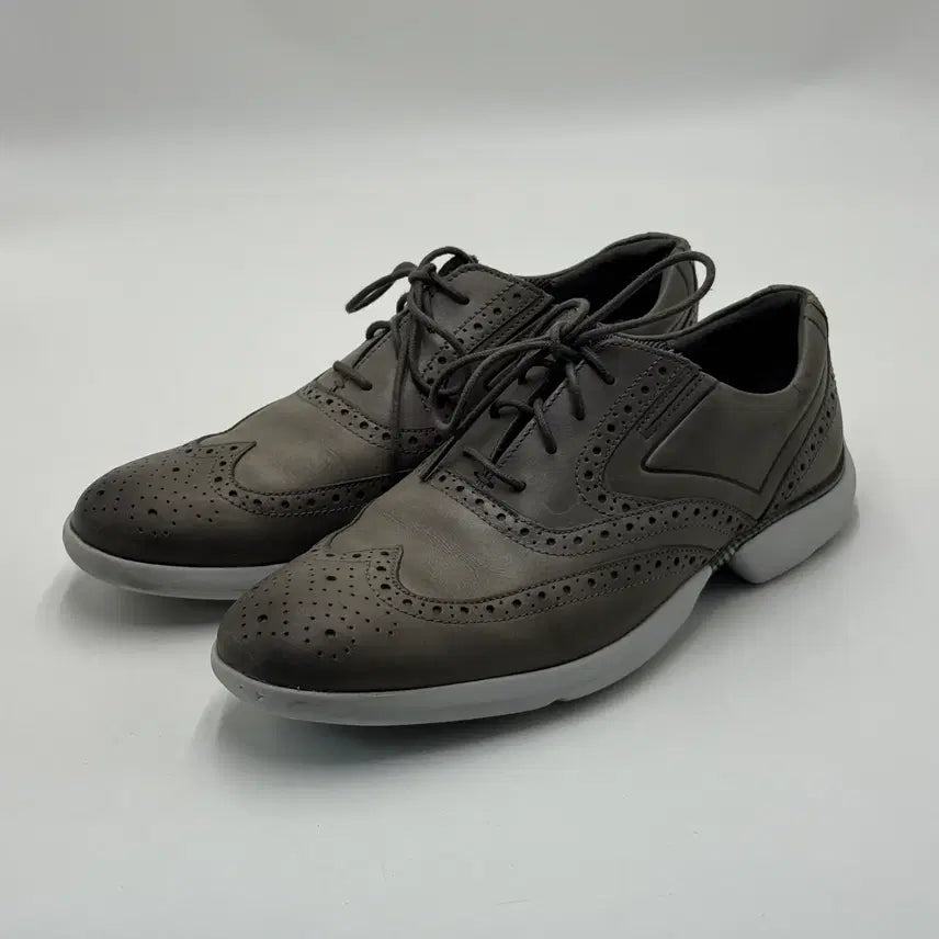 [BUNJANG] Rockport Wingtip Sneakers / 265 락포트 Rockport 윙팁 스니커즈