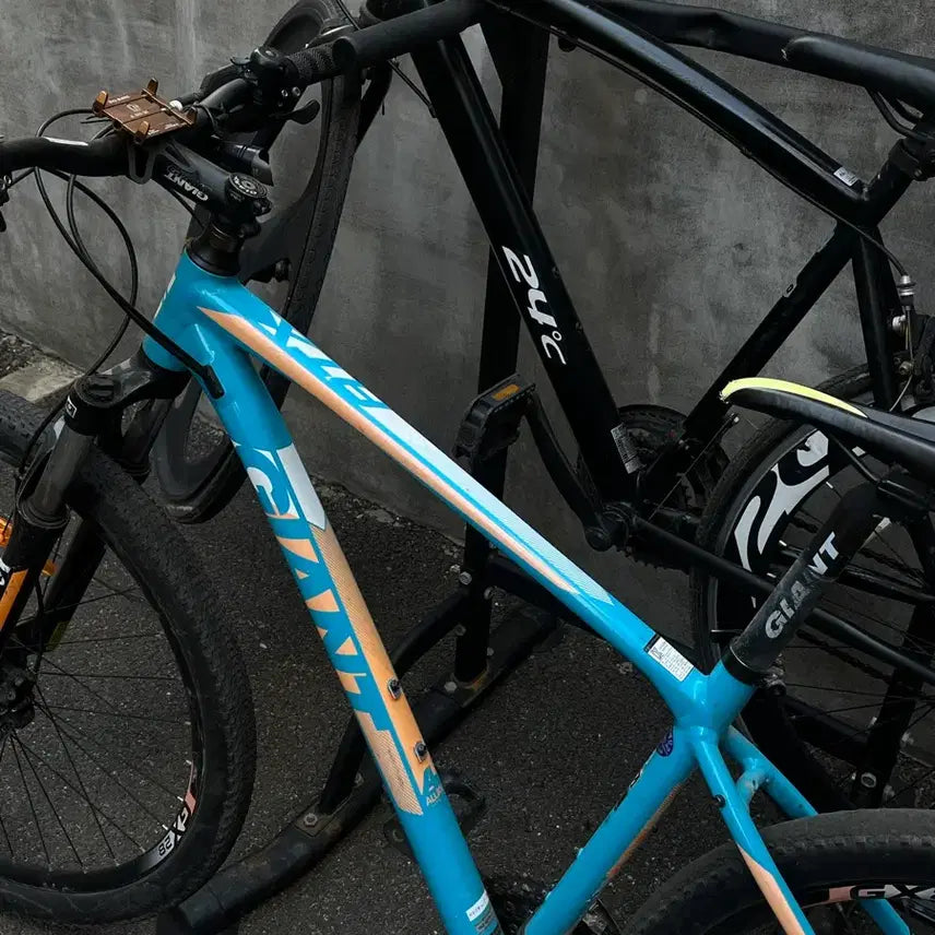 [BUNJANG] Giant MTB Bicycle / 자이언트 MTB 바이크