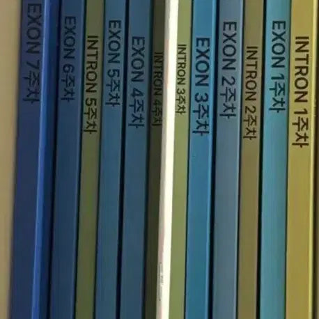 [BUNJANG] Sidaeinjae Life Science 2 Lee Seo-jun T 2027 Edition EXON, INTRON Textbook Set / 2027년도 시대인재 생명과학2 이서준T 26 EXON, INTRON