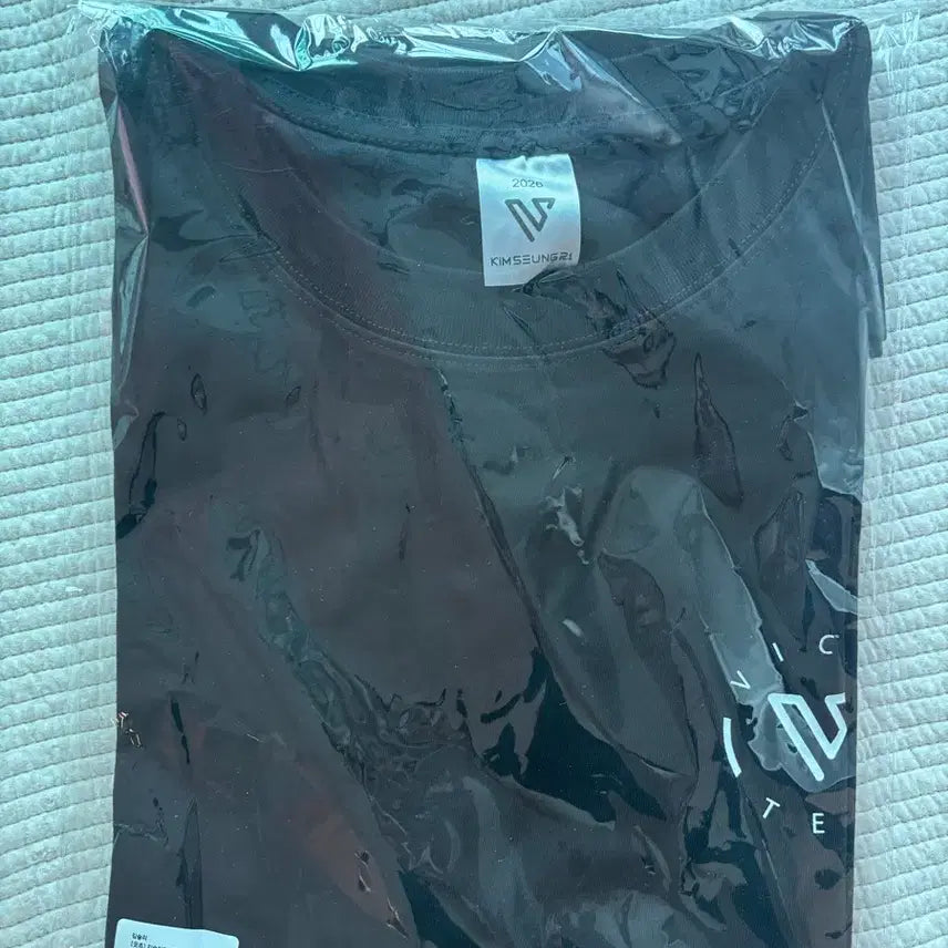 [BUNJANG] BIGTOP Kim Seung Ri T-Shirt / 빅팀 김승리 반팔티