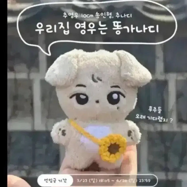 [BUNJANG] Choo Young-woo 10cm Doll 'Choonadi' (Sealed) / 추나디 양도해요! 미개봉 새상품 풀구성