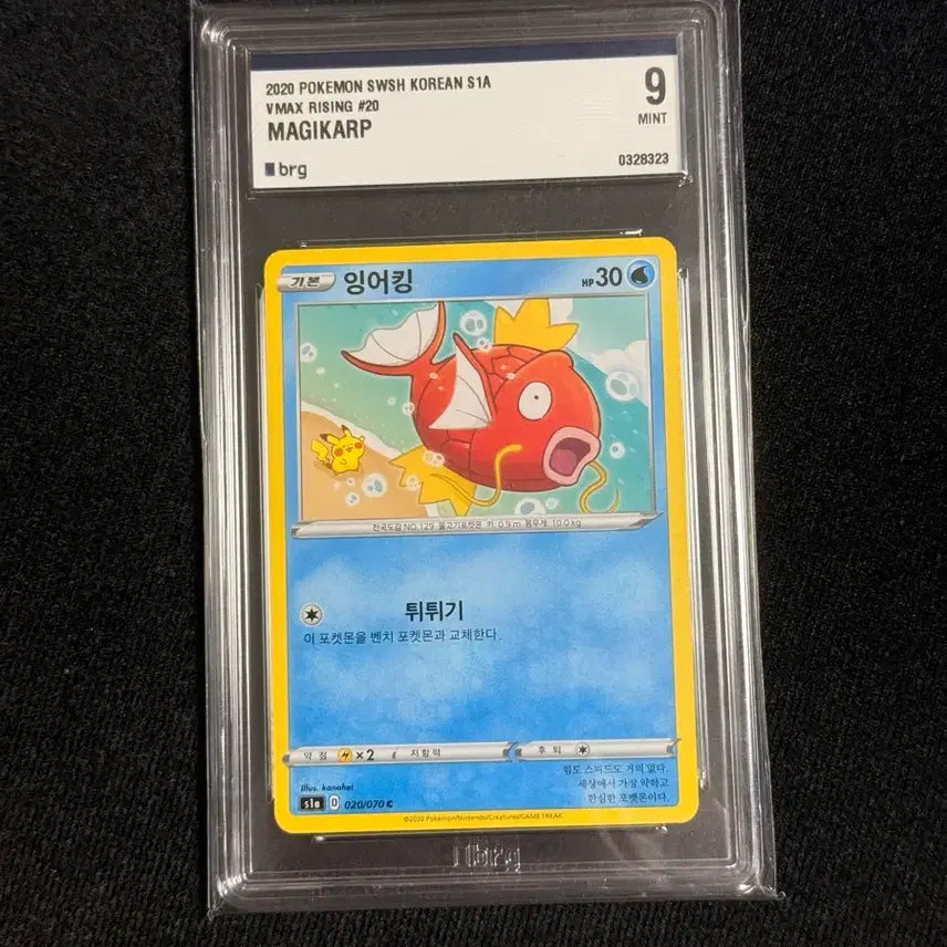 [BUNJANG] Magikarp VMAX Rising Illustration Card / 잉어킹