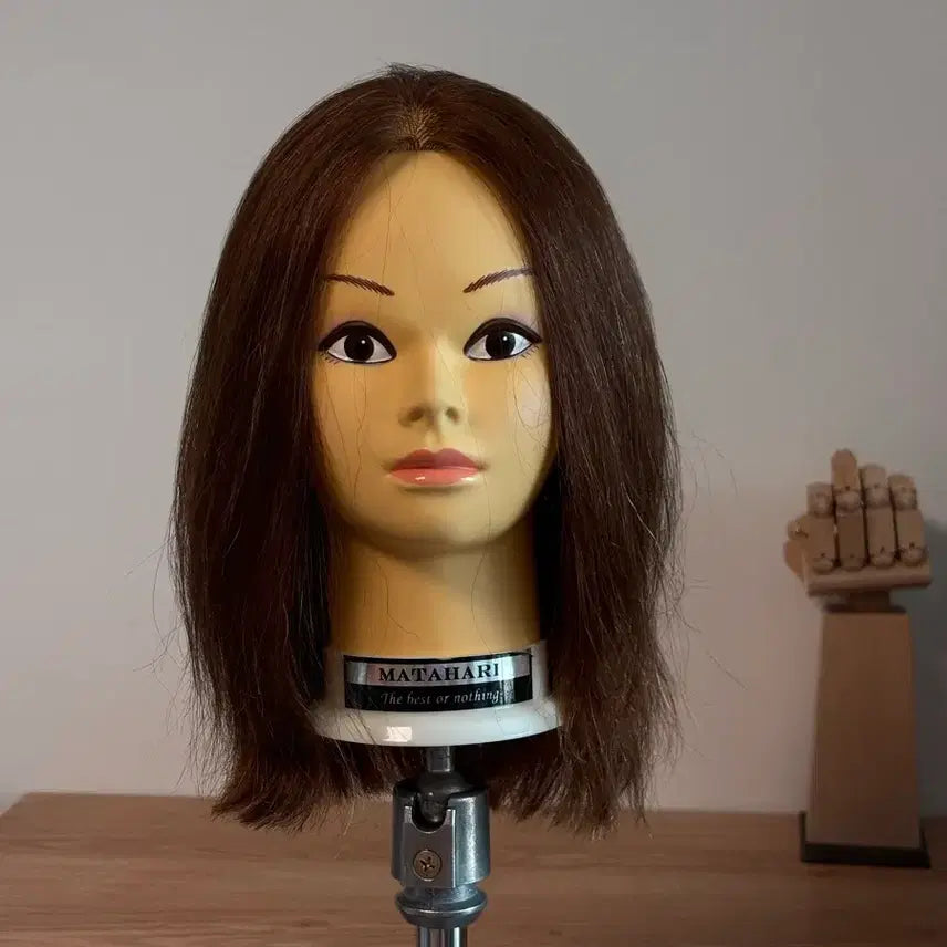 [BUNJANG] Matador Practice Mannequin Head / 마타하리 연습용 마네킹 헤드