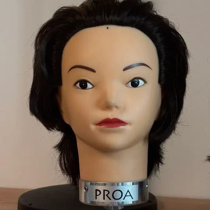 [BUNJANG] PROA Mannequin Head Black Hair / 프로아 마네킹 헤드 검점 헤어