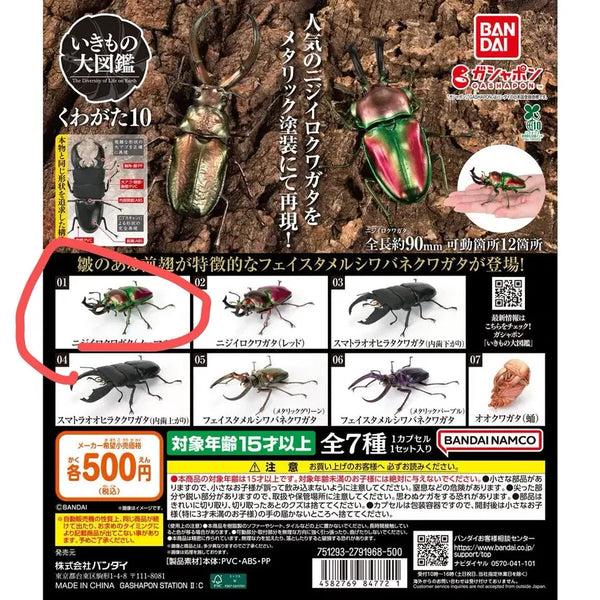 [BUNJANG] Creature Encyclopedia Stag Beetle Vol. 9 Mulinini Capsule Unsealed / 생물대도감 사슴벌레 9탄 뮤엘리니 캡슐개봉품 판매합니다.