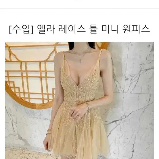[BUNJANG] Bless Shop Ella Lace Tulle Mini Dress / 블레스샵 엘라 레이스 튤 미니 원피스