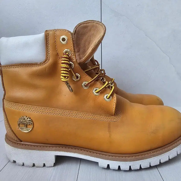 [BUNJANG] Stussy x Timberland 6-Inch Boots Size 285 / 스투시 팀버랜드 6인치 285