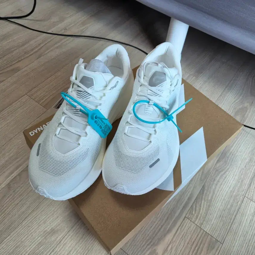 [BUNJANG] DynaFish Xiaonian Running Shoes 285mm / 다이나피쉬 작은메기 285mm(xiaonian)