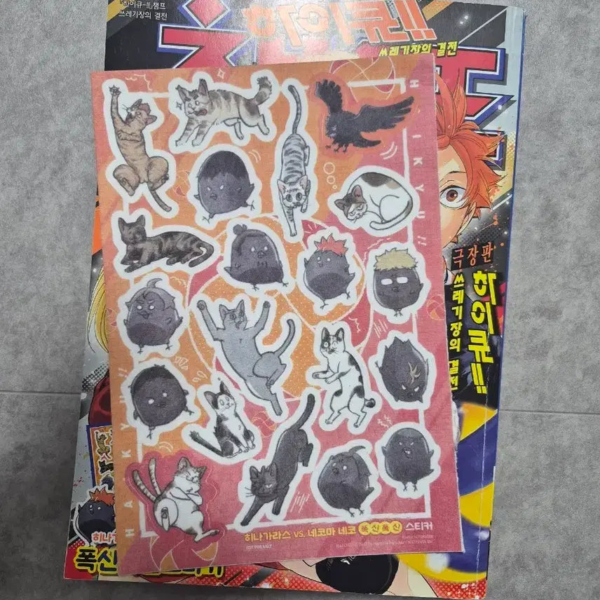[BUNJANG] Haikyu!! Champ Magazine / 하이큐 챔프, 매거진