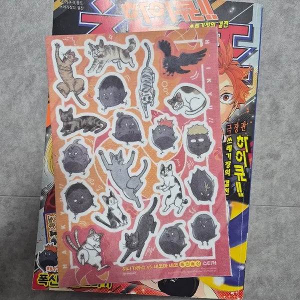 [BUNJANG] Haikyu!! Champ Magazine / 하이큐 챔프, 매거진