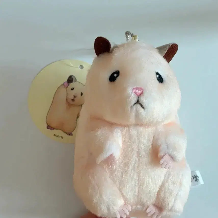 [BUNJANG] ZB1 Sung Hanbin Sukeroku Fat Plush Doll / 스케로쿠 뚱중햄 제베원 성한빈 인형