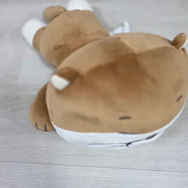 [BUNJANG] BOYNEXTDOOR Darling Cushion / 보넥도(BOYNEXTDOOR) 공식 굿즈인 '달링이 쿠션'