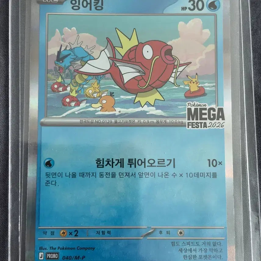 [BUNJANG] Pokemon Card Magikarp MEGA FESTA 2026 PROMO (3 Cards) / 포켓몬카드 잉어킹 프로모 2026 PROMO magikarp 3장