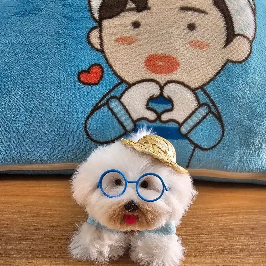 [BUNJANG] Im Hero "Siwol" Dog Plush Toy / 임영웅 강아지 시월이 인형
