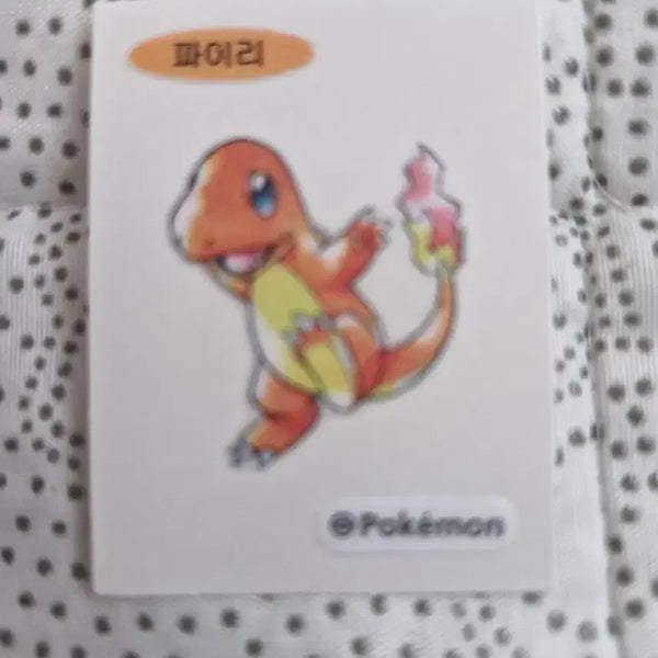 [BUNJANG] Charmander Sticker / 파이리 띠부실