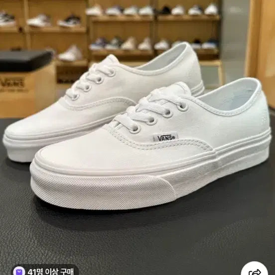 [BUNJANG] Vans Authentic New Arrival / [ 285 ] 반스 어센틱 새상품
