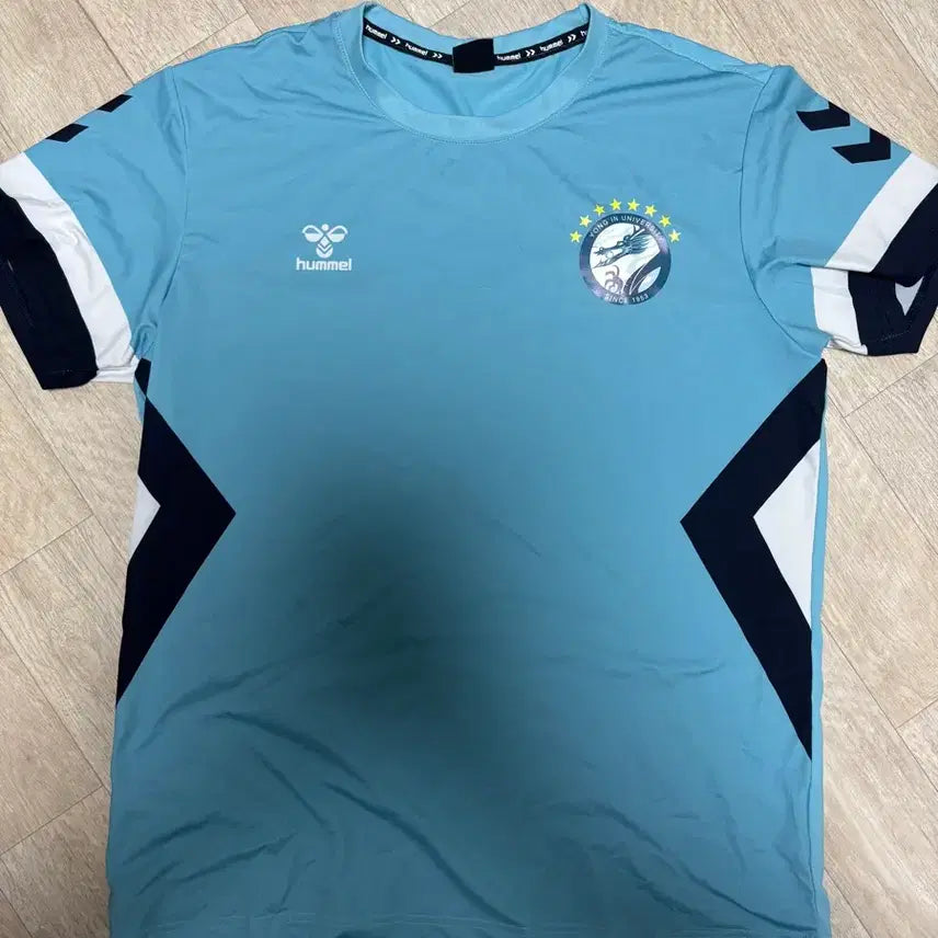 [BUNJANG] Yongin University Soccer Team Training T-Shirt / 용인대 축구부 반팔 트레이닝복(택포)