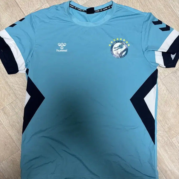 [BUNJANG] Yongin University Soccer Team Training T-Shirt / 용인대 축구부 반팔 트레이닝복(택포)