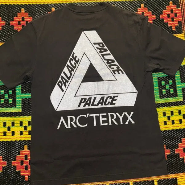 [BUNJANG] Palace x Arc'teryx Logo T-Shirt / 팔라스 아크테릭스 티셔츠 L