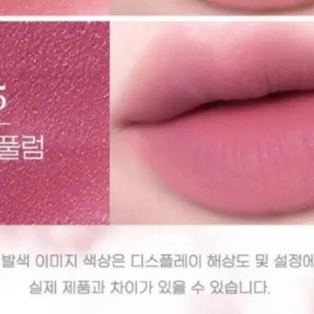[BUNJANG] Peripera Over Blurring Tint #15 Soul Plum (Sealed) / (미개봉) 페리페라 오버블러 틴트 15 소울플럼