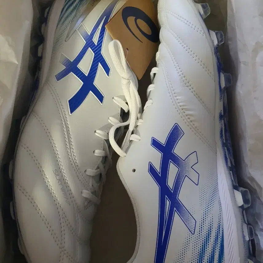 [BUNJANG] ASICS DS LIGHT PRO AG Soccer Cleats 280mm / 아식스 ds light pro ag 축구화 280