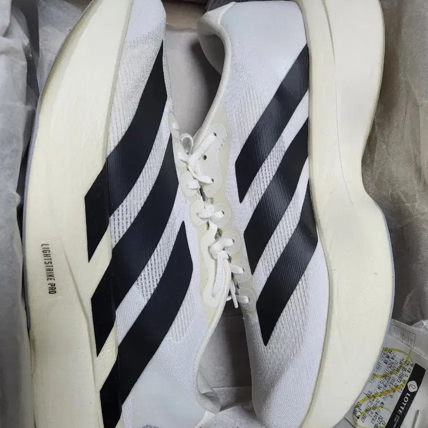 [BUNJANG] Adidas Adizero EVO SL Running Shoes / 아디다스 아디제로 EVO SL 러닝화