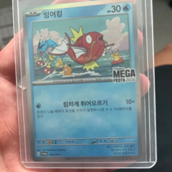 [BUNJANG] Pokemon Card Magikarp MEGA FESTA 2026 / 포켓몬 카드 잉어킹 MEGA FESTA 2026
