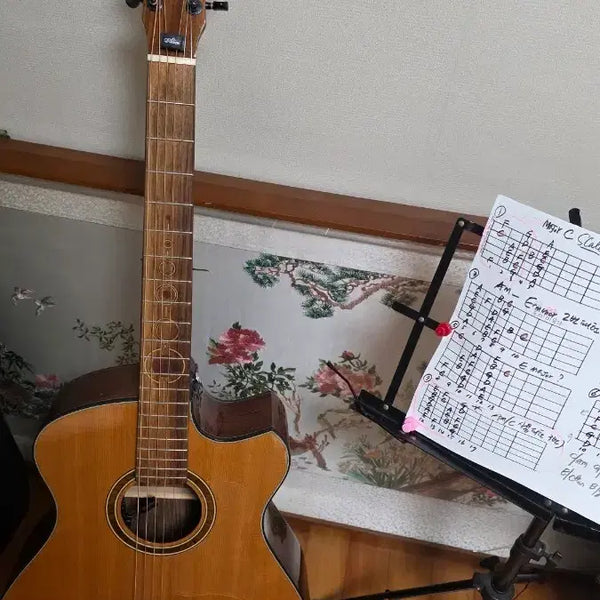 [BUNJANG] Andrew White Fraja 112 Acoustic Guitar / 명품기타 Andrew white fraja 112