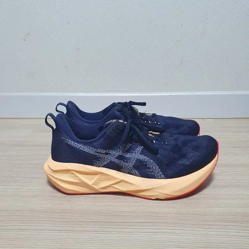 [BUNJANG] ASICS NovaBlast 5 Running Shoes / 아식스 노바블라스트 5 러닝화 280