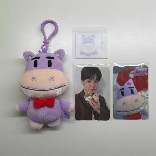 [BUNJANG] N.Flying Yoo Hwe Seung Hamangi Photocard / 엔플라잉 유회승 하망이 포카