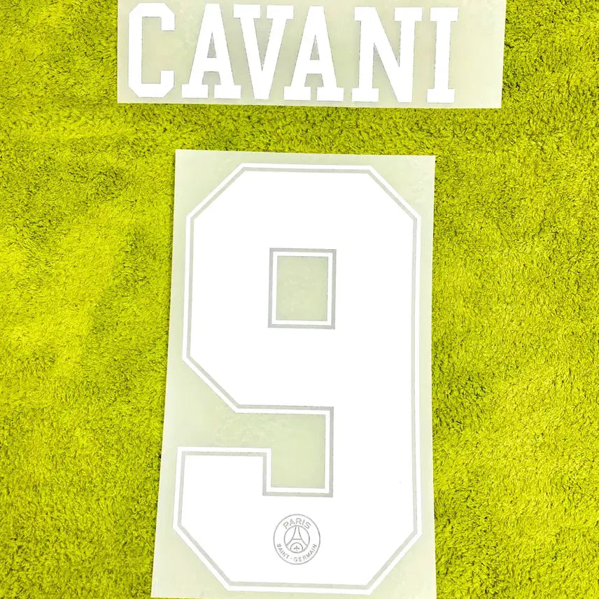 [BUNJANG] Paris Saint-Germain 18-19 Cavani Third Jordan Jersey / 18-19 파리생제르맹 써드 조던 카바니 유니폼 마킹 PSG 네임셋
