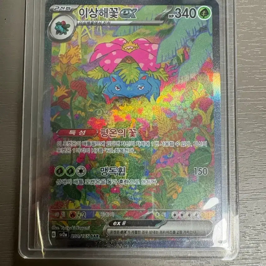 [BUNJANG] Venusaur SAR, Ivysaur AR, Charmander AR Bundle Set / 151 이상해꽃 sar, 이상해풀 ar, 파이리 ar 일괄 판매