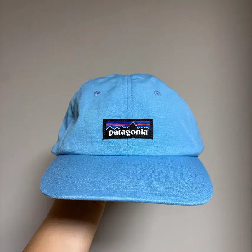 [BUNJANG] Patagonia P-6 Trad Cap / 파타고니아 P-6 트래드캡