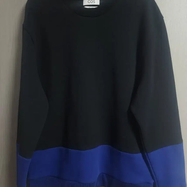 [BUNJANG] COS Men's Color-Block Sweatshirt / F] COS 남성배색 맨투맨, L*