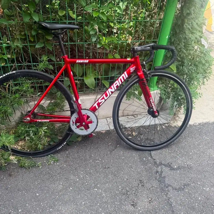 [BUNJANG] Tsunami SM100 Custom Fixed Gear Bicycle / 쓰나미 sm100 완차구성