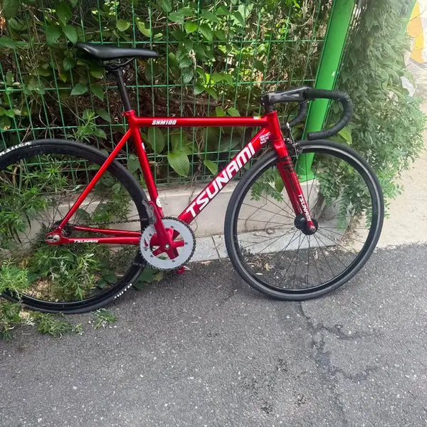 [BUNJANG] Tsunami SM100 Custom Fixed Gear Bicycle / 쓰나미 sm100 완차구성