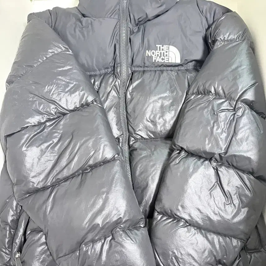 [BUNJANG] The North Face 1996 Eco Nuptse Glossy / 노스페이스 1996 에코눕시 유광