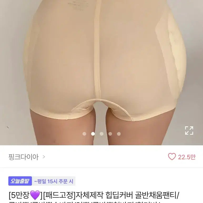 [BUNJANG] Hip Pad Underwear / 골반뽕 속바지