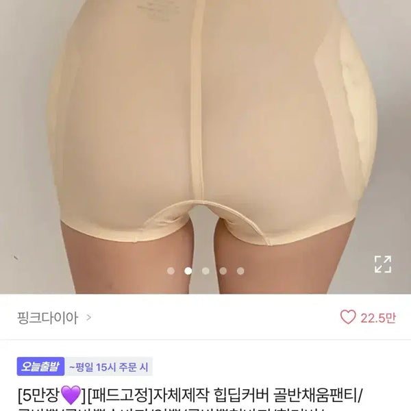 [BUNJANG] Hip Pad Underwear / 골반뽕 속바지