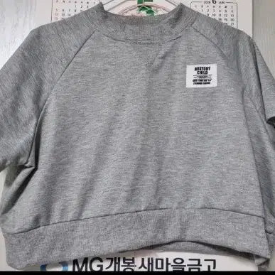 [BUNJANG] ROSTORY CHILD Gray Cropped Sweatshirt / ROSTORY CHILD 그레이 크롭 맨투맨(끈은 본인이 넣는곳에 넣으세요 끈1개있음)