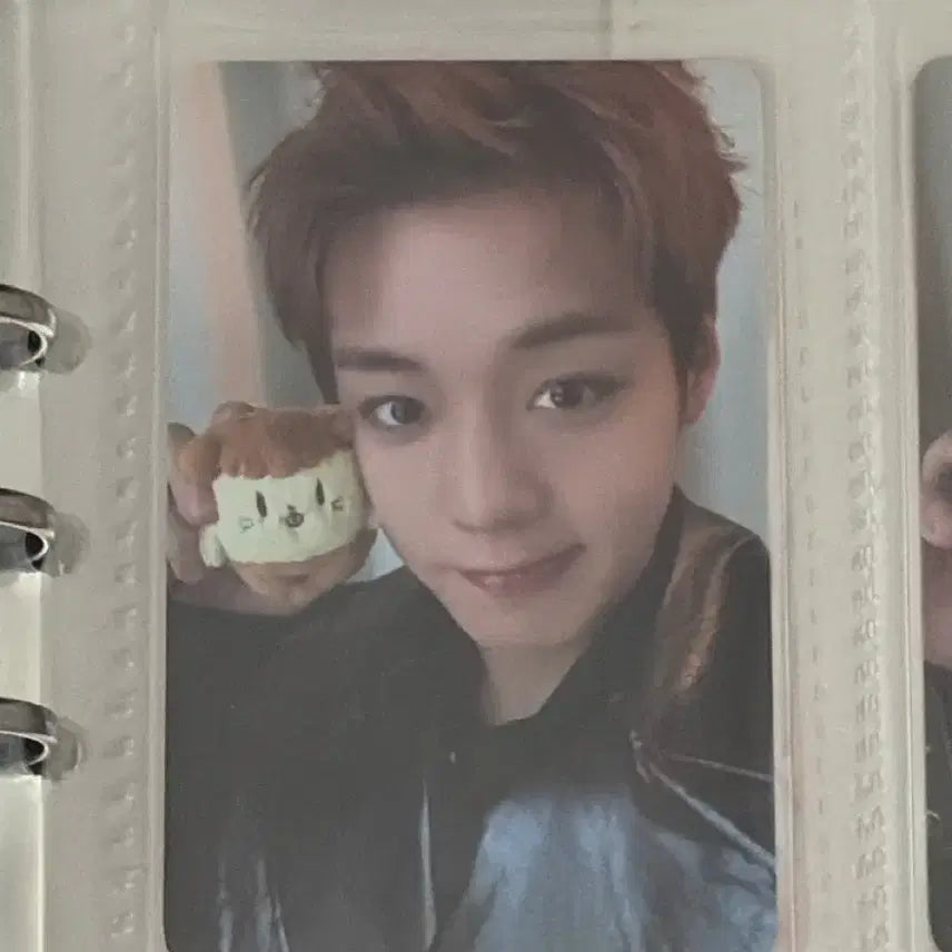 [BUNJANG] Park Ji Hoon SOSIM-I's Pop-up Plush Photocard / 박지훈 소심이 팝업 인형 포카 양도