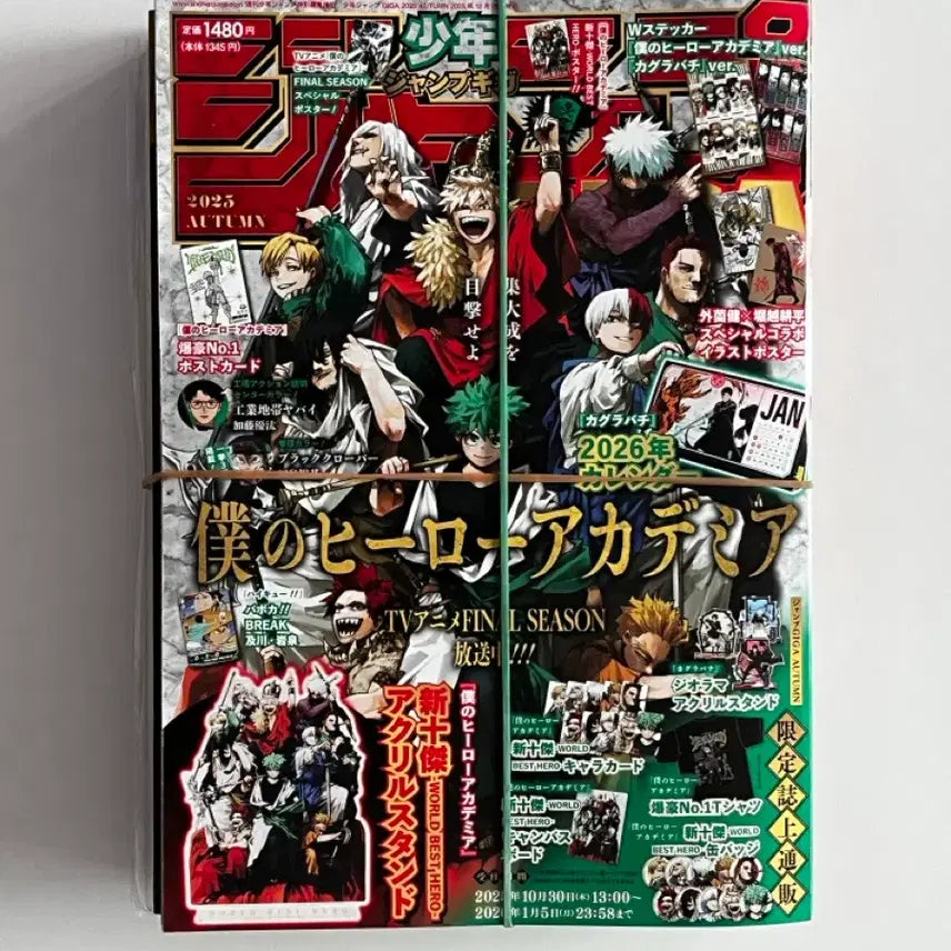 [BUNJANG] My Hero Academia 2025 Giga Jump Autumn Issue Midoriya Bakugo Todoroki Acrylic Stand / 히로아카 나히아 2025 기가 점프 어텀 가을호미도리야바쿠고토도로키아크릴