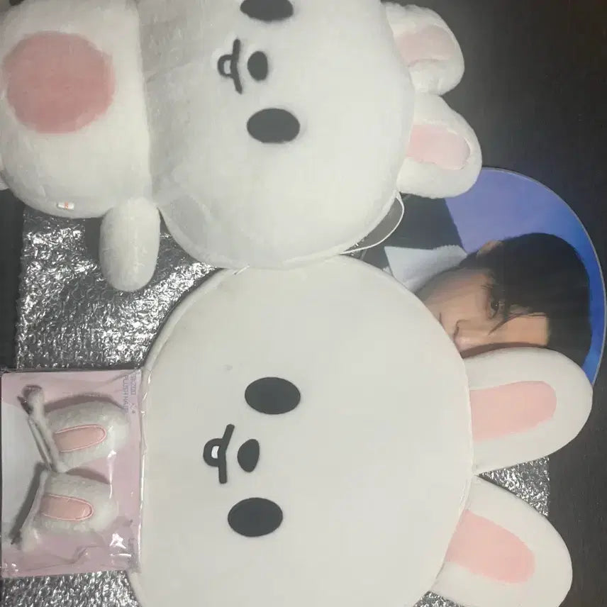 [BUNJANG] Ribit Backpack, Heipin, Uchiwa, Uchiwa Cover Set / 리빗 백팩,헤이핀,우치와,우치와 커버,