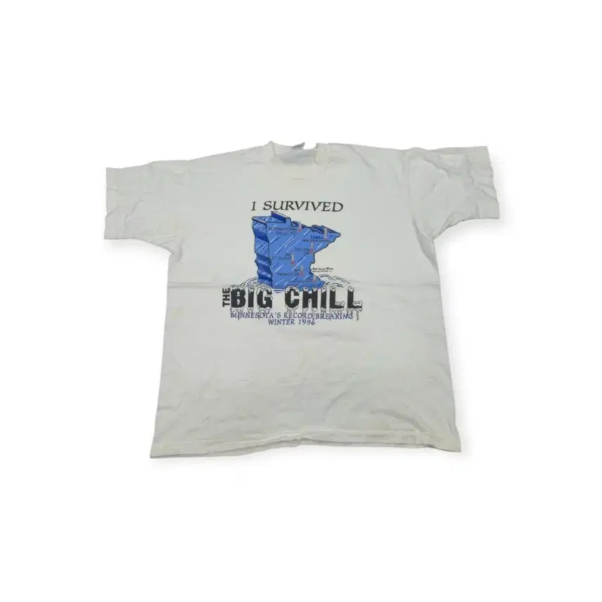 [BUNJANG] Vintage Ice T-Shirt / 빈티지 티셔츠 얼음