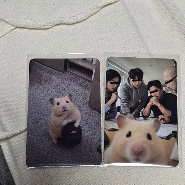 [BUNJANG] Kim Hamzzi Photocard 2-Type Set / 김햄찌 포토카드 2종 세트