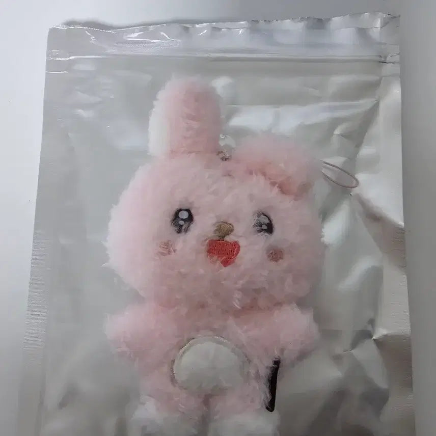 [BUNJANG] DAY6 Wonpil Unfiltered Secret Keyring / 원필 언필터드 시크릿키링 초롱필 정가양도