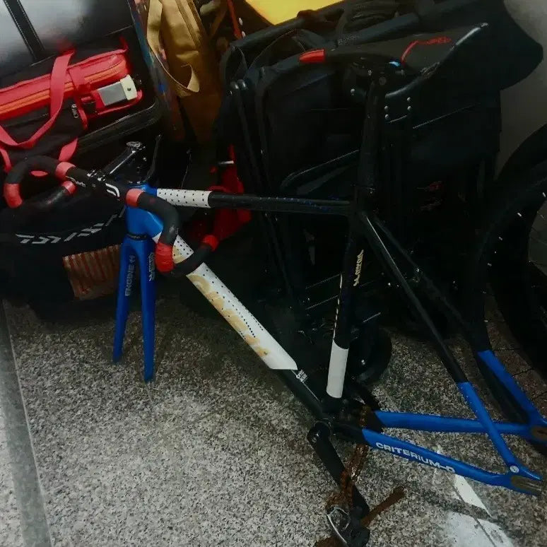 [BUNJANG] Engine 11 Blueskin Pixie Size S Bicycle / S사이즈 엔진11 블루스킨 판매만
