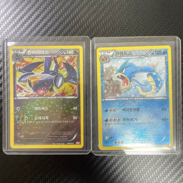 [BUNJANG] 2012 HKR Gyarados & Garchomp Bundle Set / 2012 HKR 갸라도스 한카리아스 일괄 판매